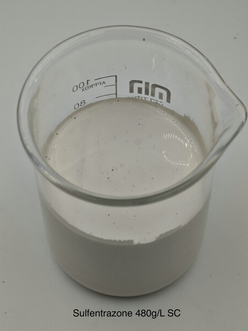 Sulfentrazone 480g/L SC